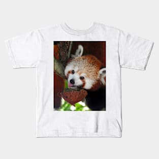 Red Panda Kids T-Shirt